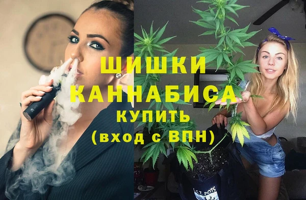 крисы Верея